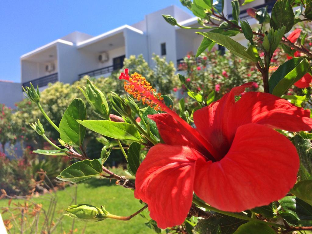 Debby Apartments Ialysos  Exteriér fotografie