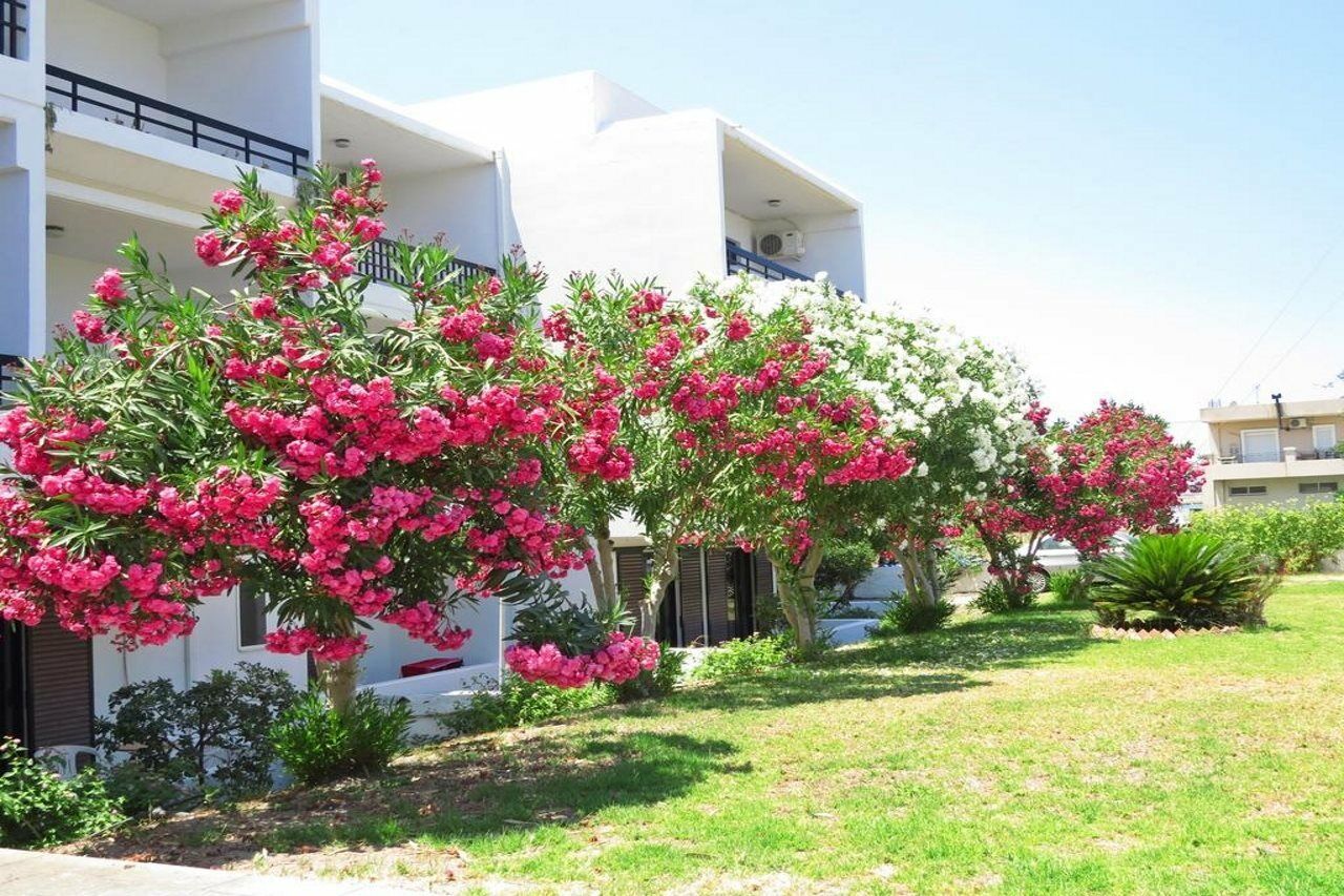 Debby Apartments Ialysos  Exteriér fotografie